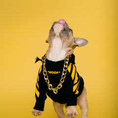 Collection image for: **Pet Accessories and Pet Gifts