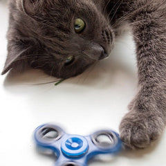 Collection image for: Interactive & Puzzle Toys