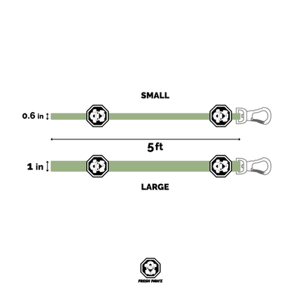 Caesar Cuban Link | Leash